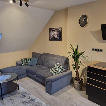 Vltava Design Apartments Прага Екстер'єр фото
