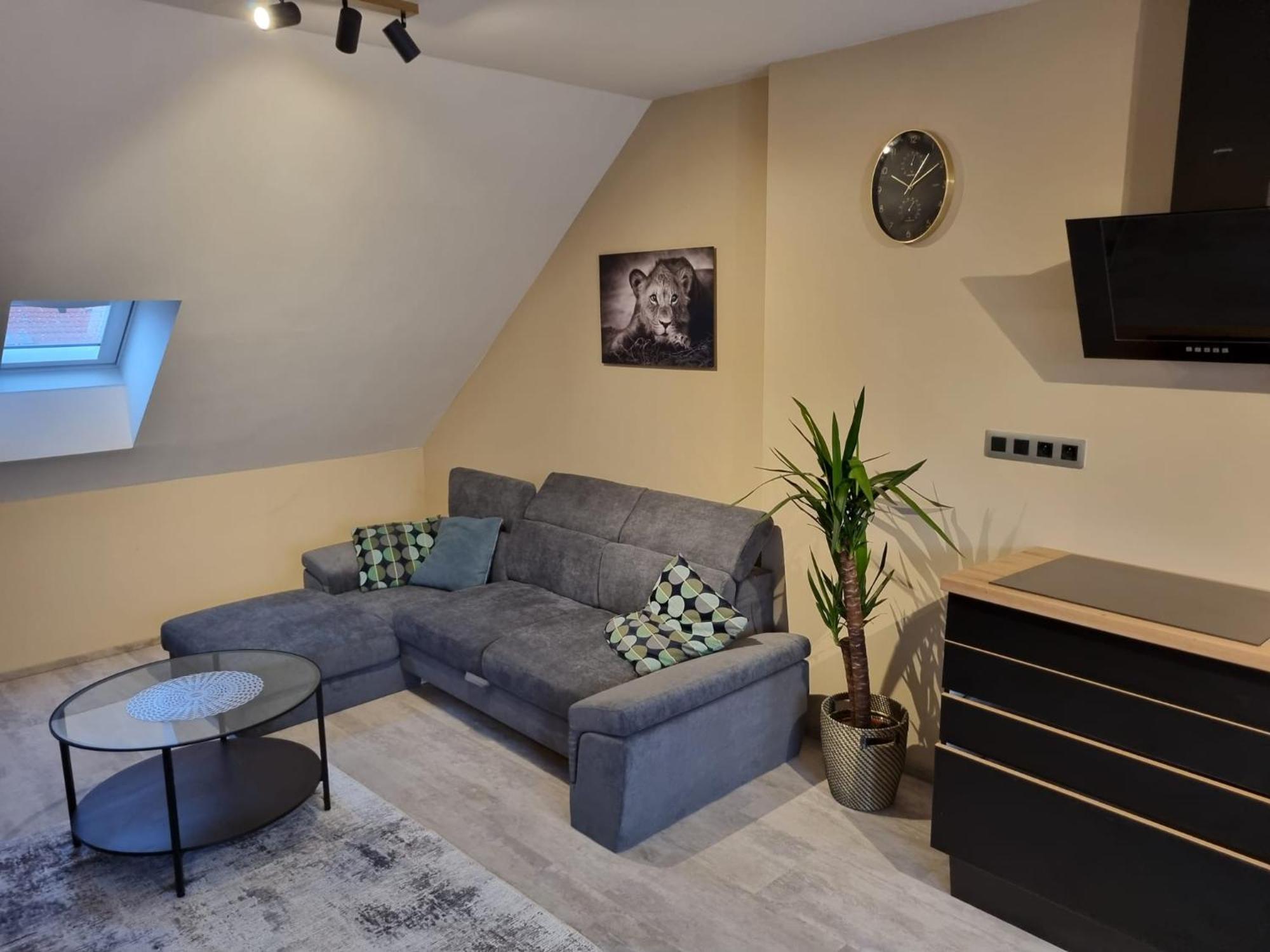 Vltava Design Apartments Прага Екстер'єр фото